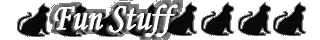 Fun