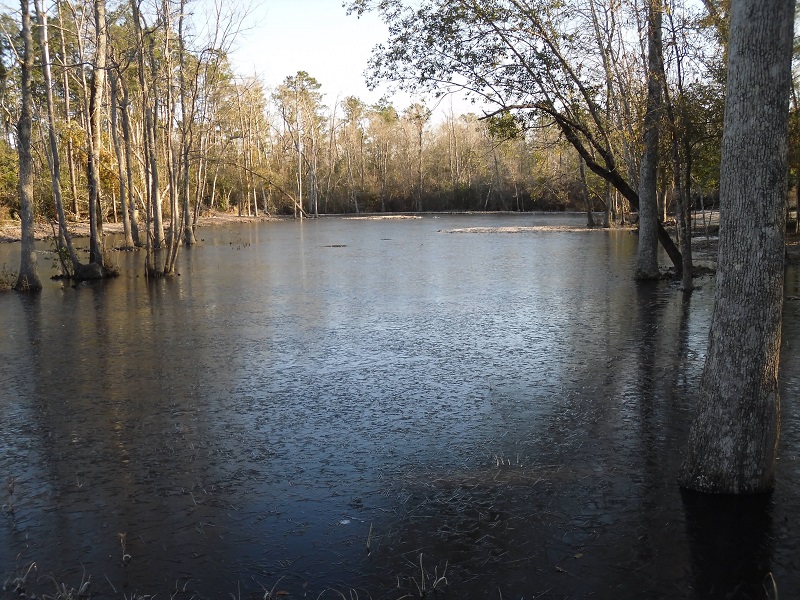 Frozen Lake