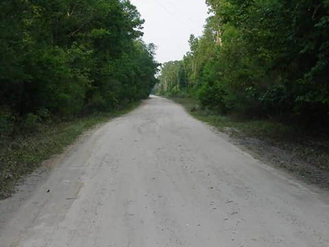 Mvc-008b