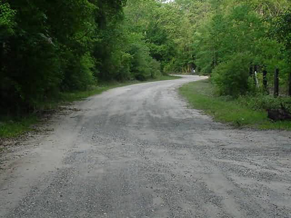 Wingfield