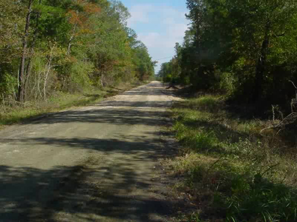 Wingfield