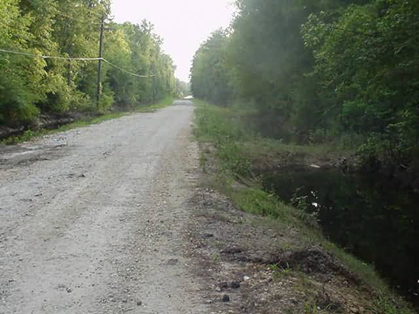 Wingfield
