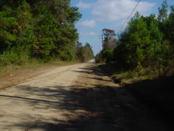 Wingfield
