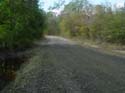 Wingfield