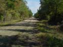 Wingfield
