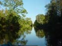Wingfield