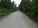 Wingfield