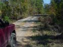 Wingfield