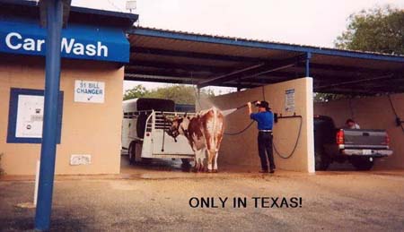 Tex-only